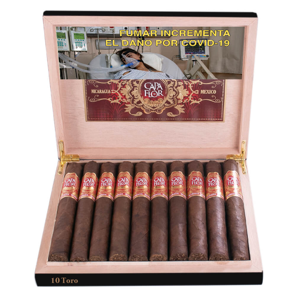 CAPA FLOR TORO CAJA CON 10 PUROS - Image 2