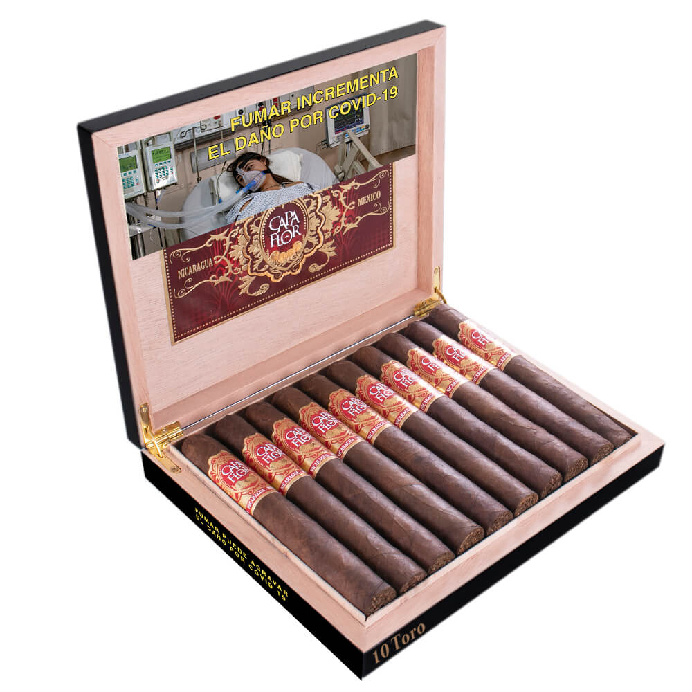 CAPA FLOR TORO CAJA CON 10 PUROS - Image 3