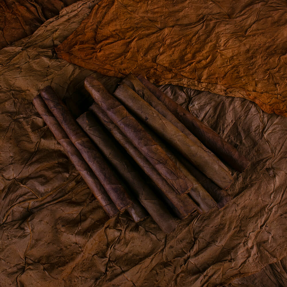 EJECUTIVOS # 8 CAJITA CON 100 PUROS (NATURAL) - Image 5