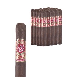 CAPA FLOR TORO MAZO CON 25 PUROS
