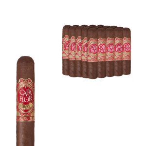 CAPA FLOR SHORT ROBUSTO MAZO CON 25 PUROS